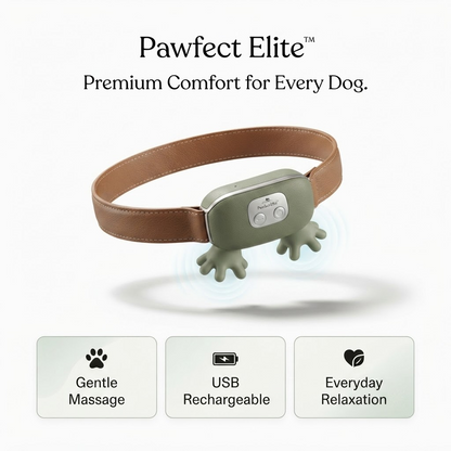 💚 Pawfect Elite™ Soothing Dog Neck Massager 🐶