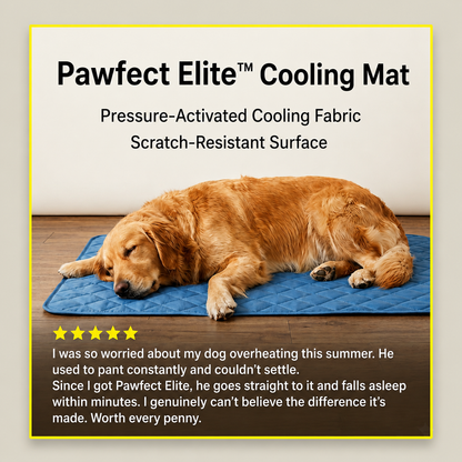 Pawfect Elite™ Instant Self-Cooling Pet Mat❄️