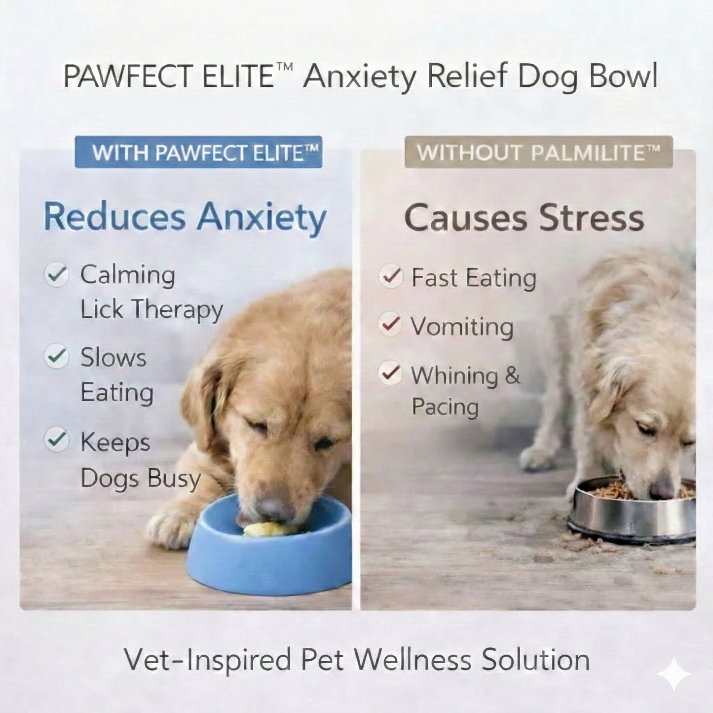 Pawfect Elite™ Anxiety Relief Dog Bowl🐾