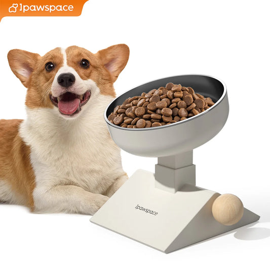 Elevated Dog Bowls for Small Medium Dogs and cats, 3 Height Adjustable Raised Stand with 304 Stainless Steel Food Bowls
