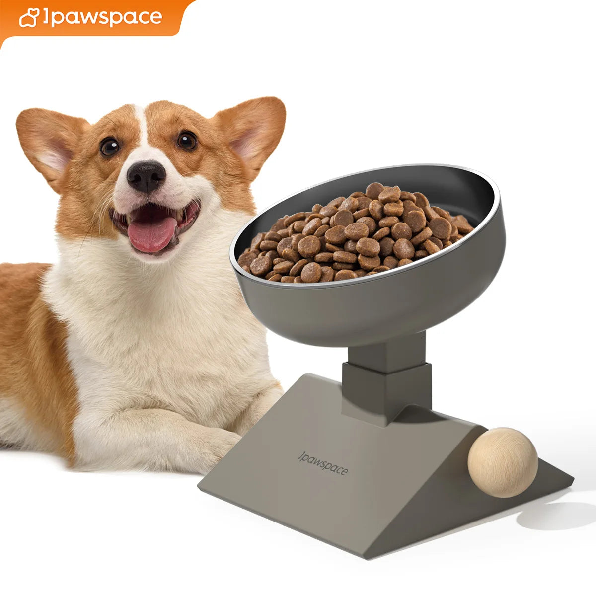 Elevated Dog Bowls for Small Medium Dogs and cats, 3 Height Adjustable Raised Stand with 304 Stainless Steel Food Bowls