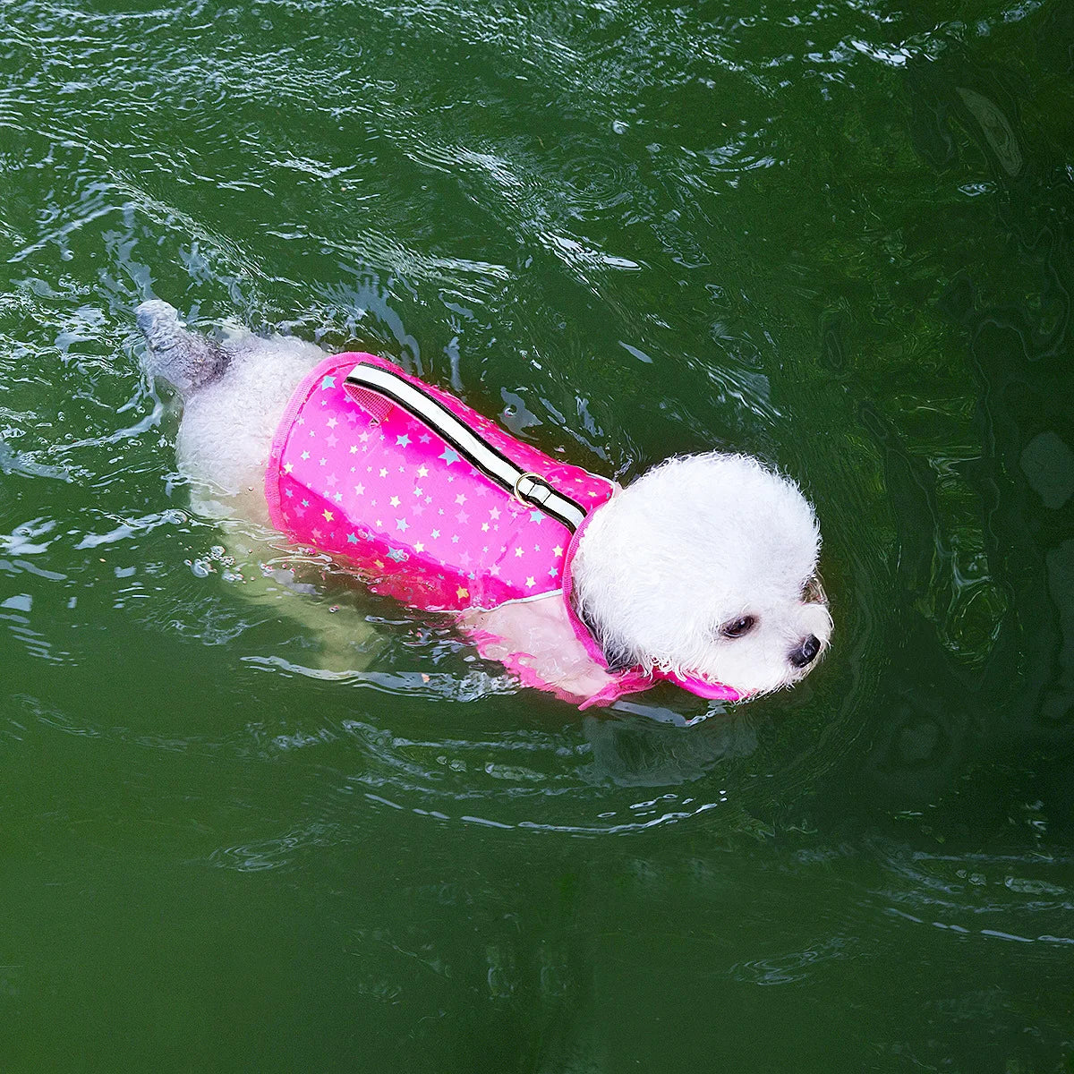🐾Pawfect Elite™ Summer Cooling Dog Vest – Lightweight Comfort & Protection🔥
