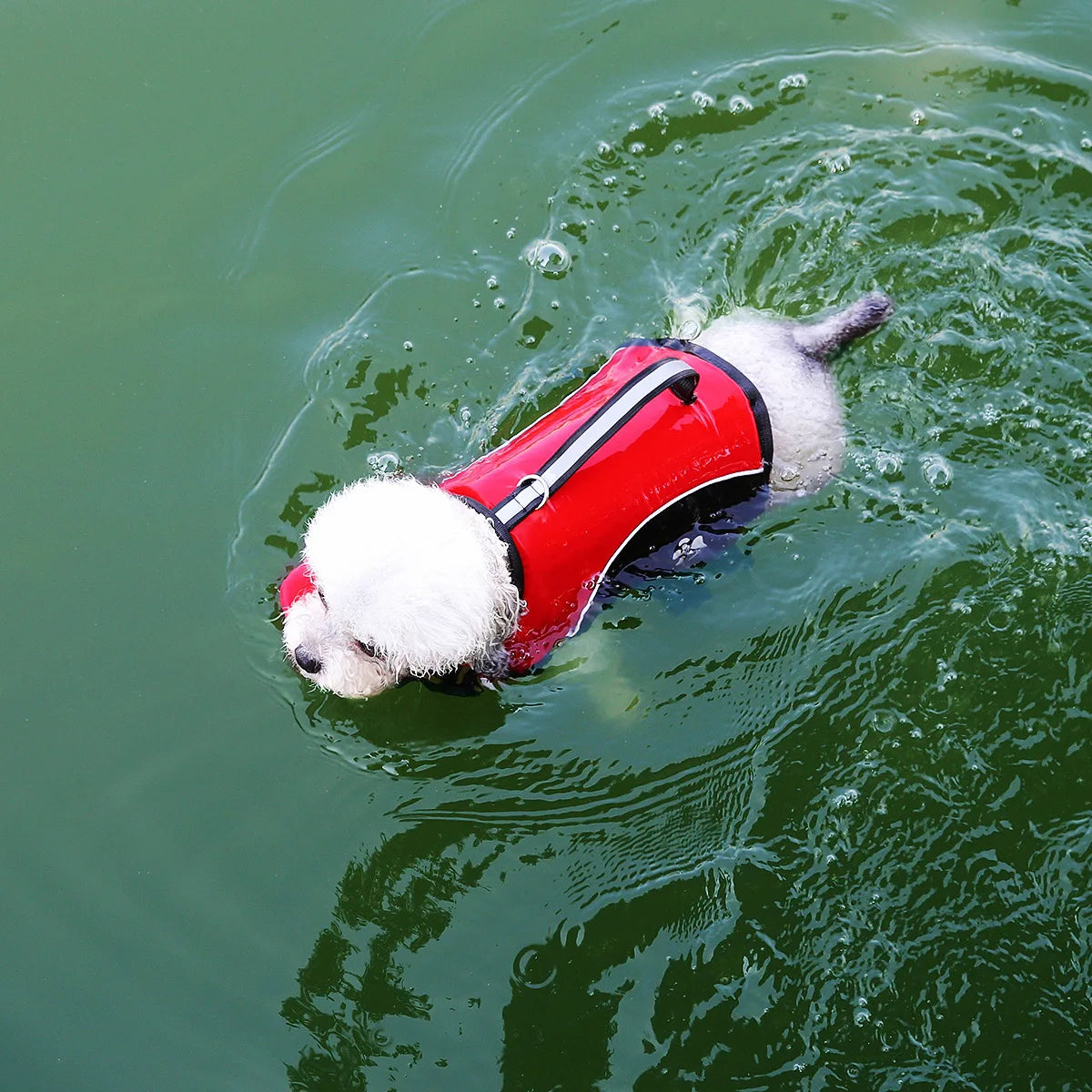 🐾Pawfect Elite™ Summer Cooling Dog Vest – Lightweight Comfort & Protection🔥