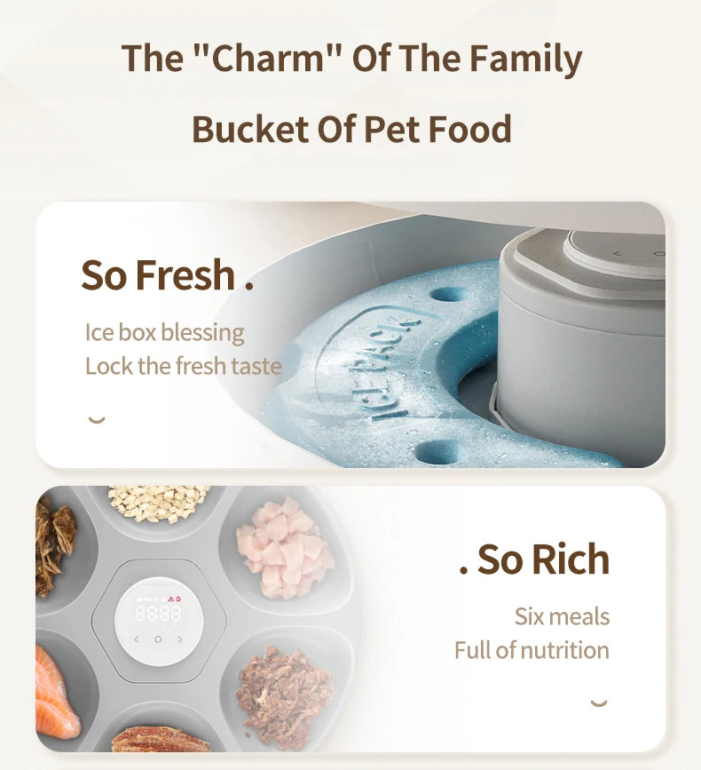 ROJECO 6 Meals Automatic Pet Feeder Smart Cat Food Dispenser For Wet & Dry Food Kibble Dispenser Accessories Auto Feeder For Cat