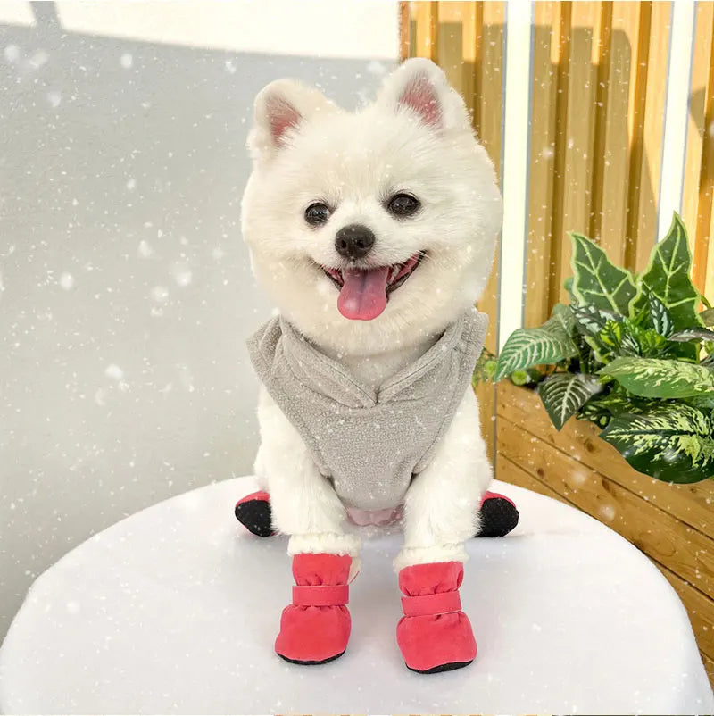 Pawfect Elite™ Signature All-Weather Boots The Ultimate in Paw Protection & Comfort 👑