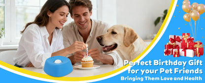 Pawfect Elite™ Anxiety Relief Dog Bowl🐾