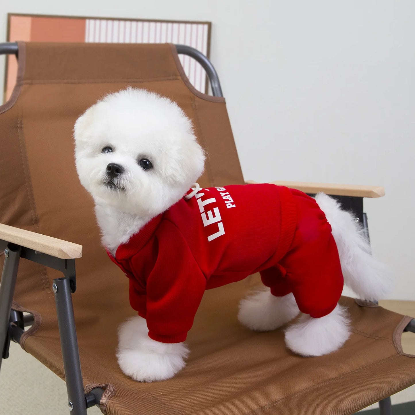 Warm Dogs Jumpsuit Spring Autumn Dog Coat for Small Dog Pet Hoodies Puppy Clothes Dog Jumpsuit Pet Four legged Hoodie
