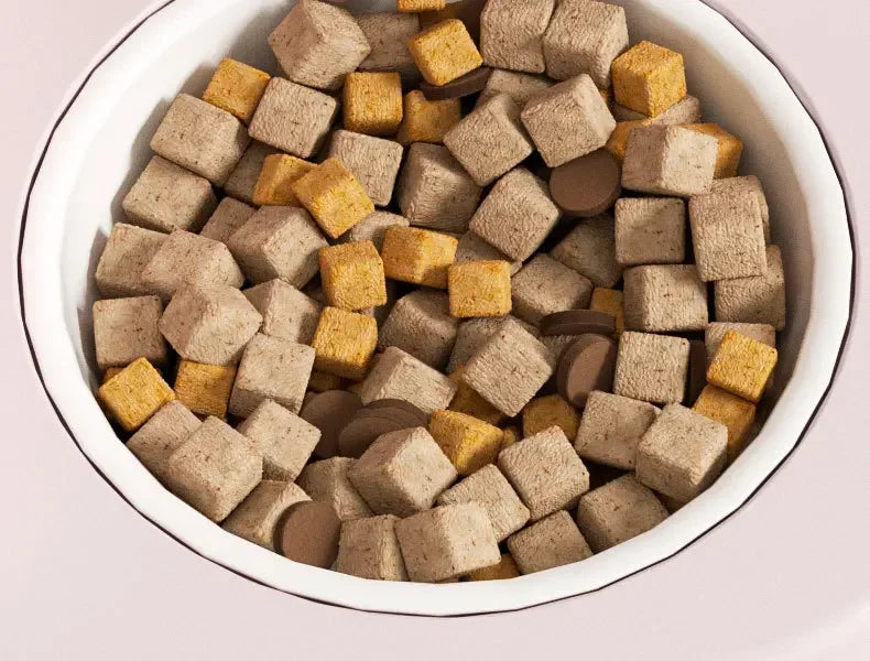 Cartoon cat feeding water feeder cat bowl cat and dog universal pet bowl water dispenser pet supplies spot