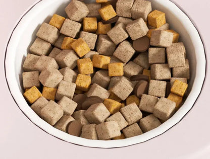 Cartoon cat feeding water feeder cat bowl cat and dog universal pet bowl water dispenser pet supplies spot