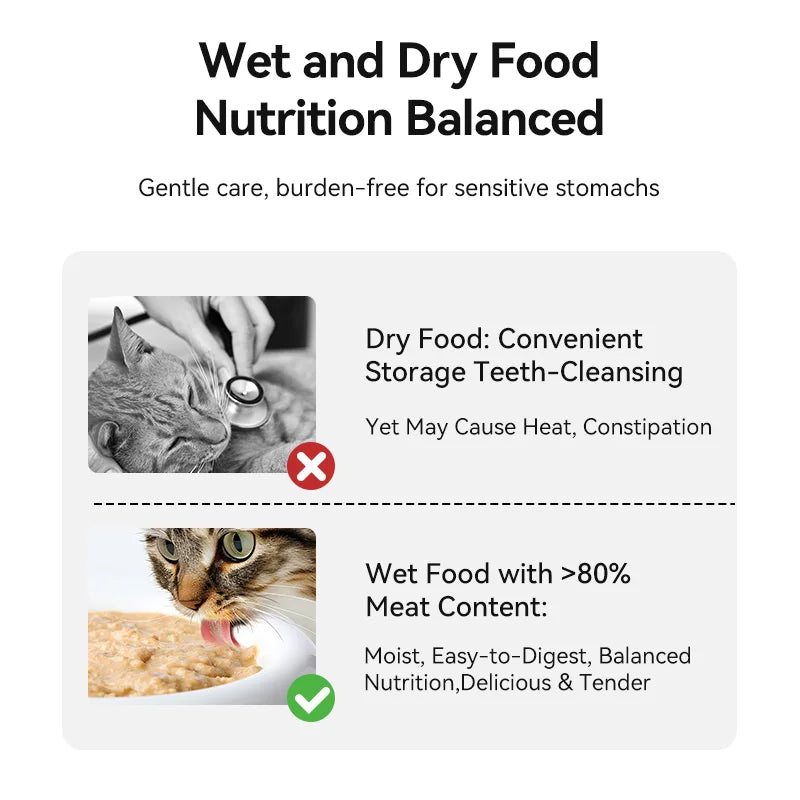 ROJECO Automatic Pet Feeder 4 Meals For Wet Dry Food Feeding Wireless Smart Kibble Dispenser Cat Dog Multifunctional Cat Feeder