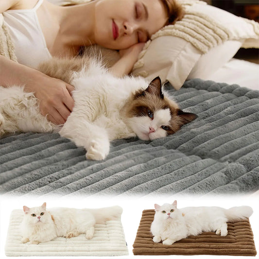 CozyCloud™ Self-Warming Mat The Safest Way to Keep Pets Warm🔥