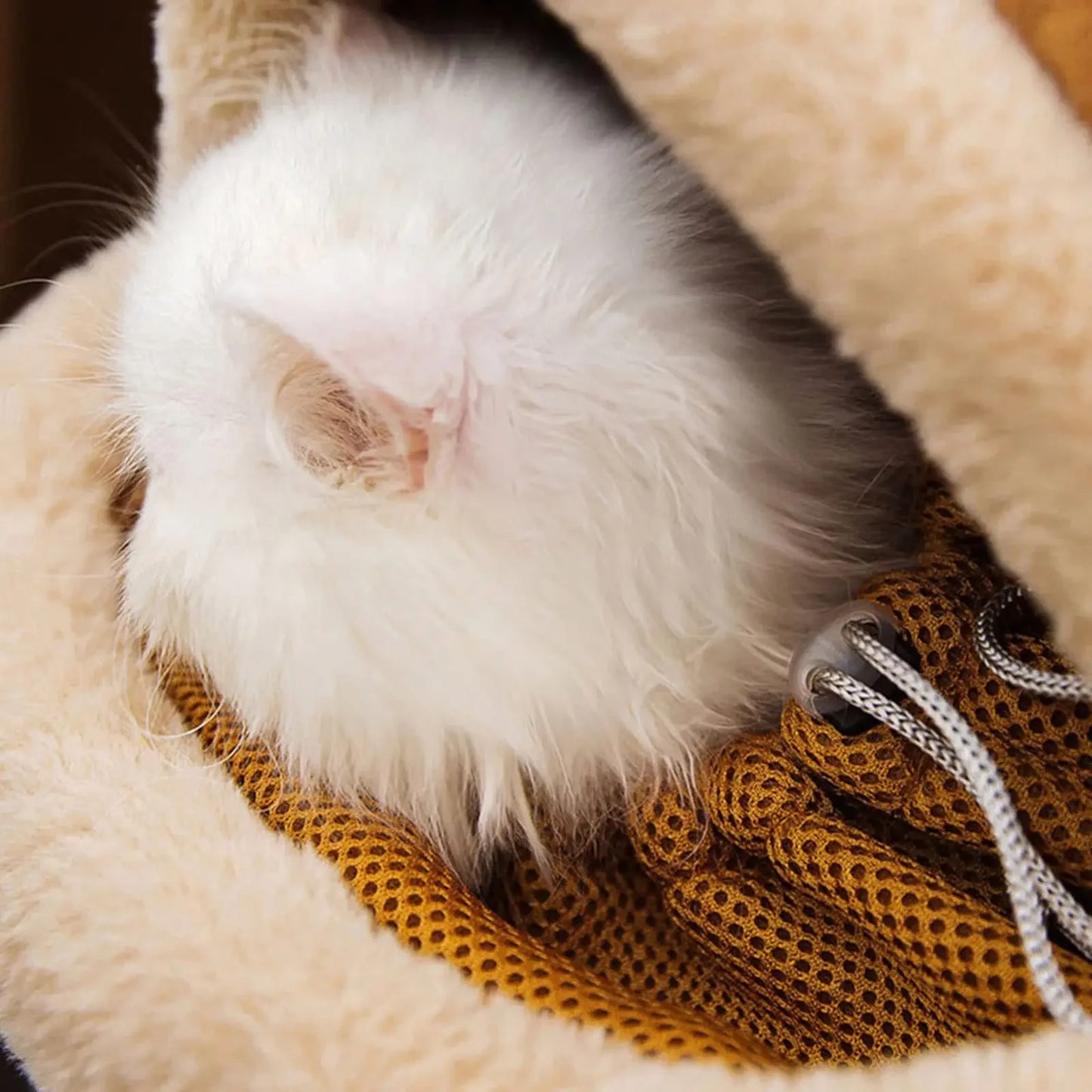 Winter Cat Backpack Pet Carrier Warm Soft Sherpa Travel Bubble Bag Leash Hole For Small Cats Warme Schräg Cross Haustier Tasche