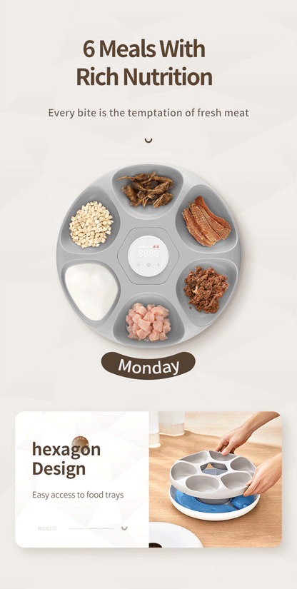 ROJECO 6 Meals Automatic Pet Feeder Smart Cat Food Dispenser For Wet & Dry Food Kibble Dispenser Accessories Auto Feeder For Cat